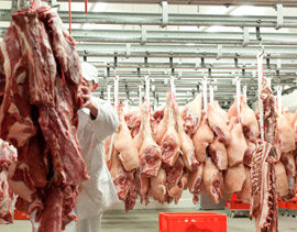 Im Umgang mit Fleich im Verkauf in Schlachtereien bei Metzgern und in Schlachthöfen ist HACCP Schädlingsmonitoring unverzichtbar