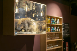 Die Stachelschweine Kabarett in Berlin Foyer